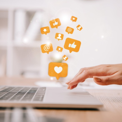 Social Media