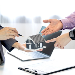 Consulting Services for Housing Solutions