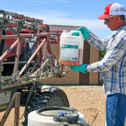 Crop Protection