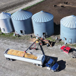 Grain Marketing