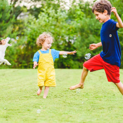 Pollinator and Bee Protection