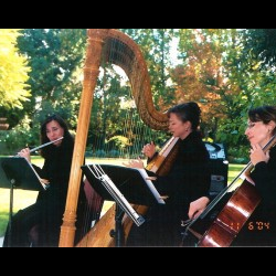 Music Harp