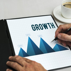 Strategic Business Growth Opportunities