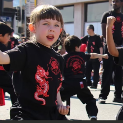 Little Dragons
