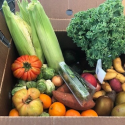 Recipe Collection