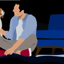 Pet Insurance