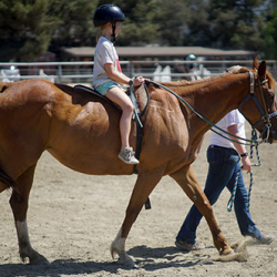 Horse Back Riding Lessons