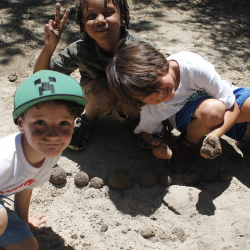 Holiday Camps