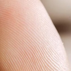 Digital Fingerprinting FD-258 Card