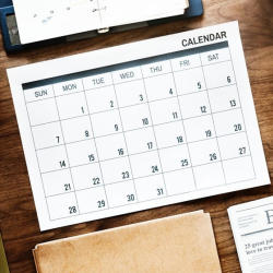 Back-Office Support Services