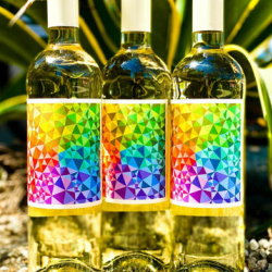 $20 & Under Wines