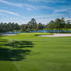 Driving Impact Celebrity Golf Classic