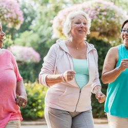 Wellness & Fitness Programs