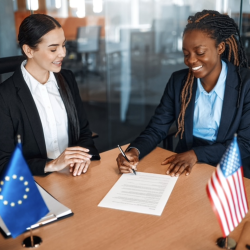 GovConnect (For Profit)