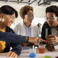 Diversity, Equity & Inclusion (DEI) in STEM
