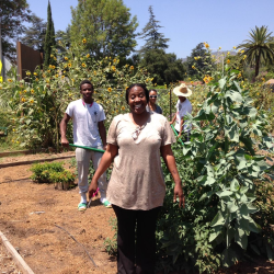  Youth Gardening Programs