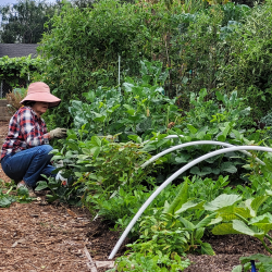 Garden Mentorship & Support