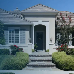 Residential Pest Control