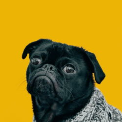 Allergies & Dermatology