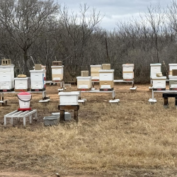 Hive Installation and Maintenance