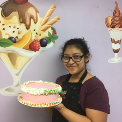 Ice Cream Cakes