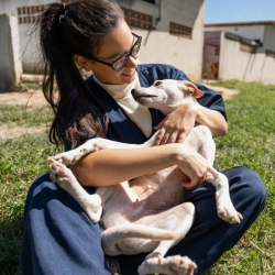 Pet Behavioral Counseling