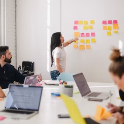 Facilitation Services