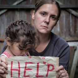 Shelter Services