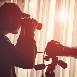 Investigative Services