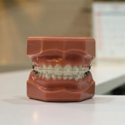 Oral Health