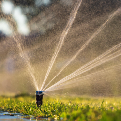 Sprinkler System Installation