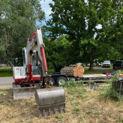 Lawn Preparation & Maintenance