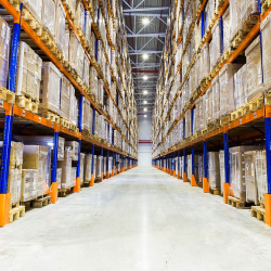 Commercial Pest Control Services 