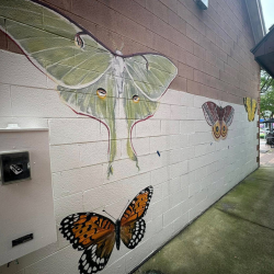 Imagine Alley Mural Project