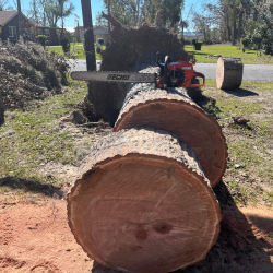 Stump Grinding