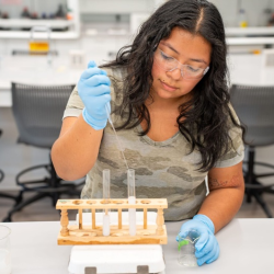 Undergraduate Research