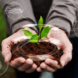 Plant Cultivation