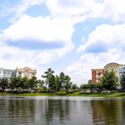 Commercial Properties