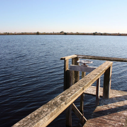 Sustainable Water Practices