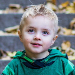 Comprehensive Assessment