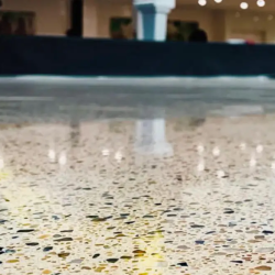 Terrazzo Flooring Maintenance & Restoration