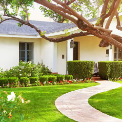 Investment Property Services