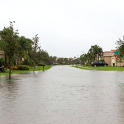 Flood Damage Services