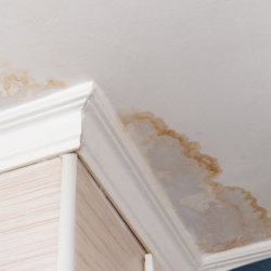 Water Damage Claims Assistance