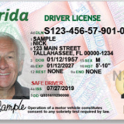Driver License Services