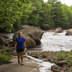 Content Strategy & Consultation