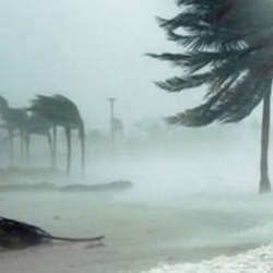 Disaster Preparedness