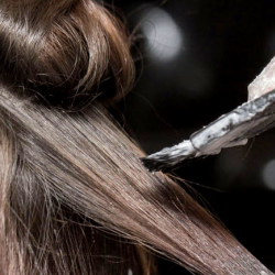 Miscellaneous Services