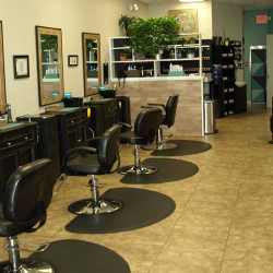 Request Your Appointment