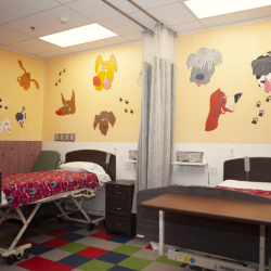 Neurotherapy Rehabilitation Program
